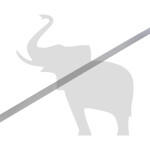 SCHMİTZ İç Panel Bağlantı Kelepçesi - 580601