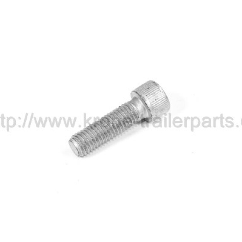 Silindir başlı vida M10x30