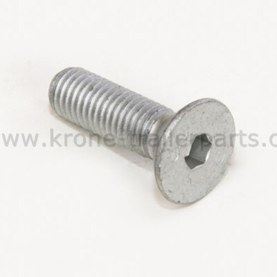 KRONE Havşa Başlı Vida Torks M8X12