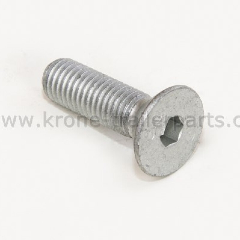 KRONE Havşa Başlı Vida Torks M8X12